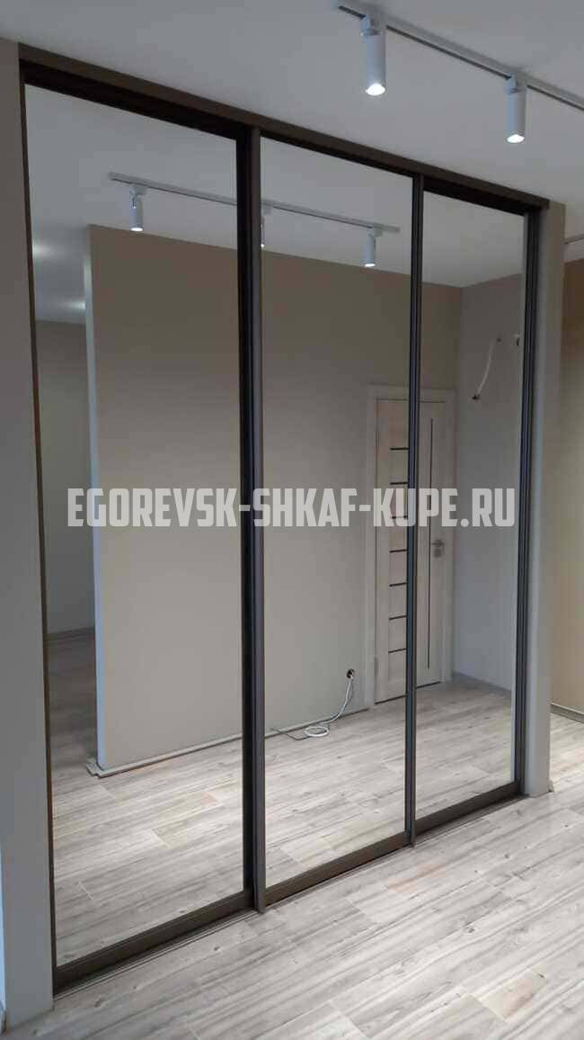 Встроенные шкафы на заказ Егорьевск